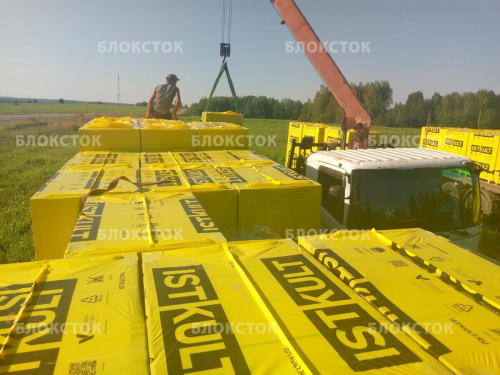 Пеноблоки Istkult D500 625х250х100 перегородочные